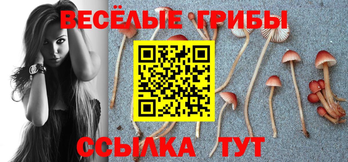 Выкса  Галлюциногенные грибы ЛСД  где продают наркотики  Галлюциногенные грибы MAGIC MUSHROOMS  Вход с VPN 